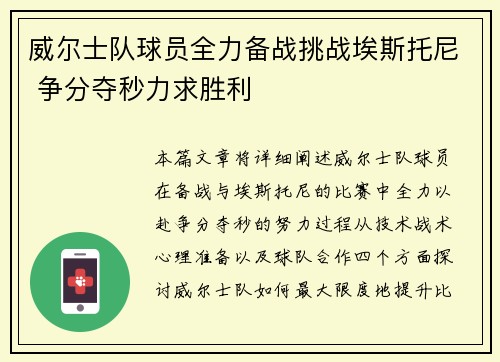 威尔士队球员全力备战挑战埃斯托尼 争分夺秒力求胜利