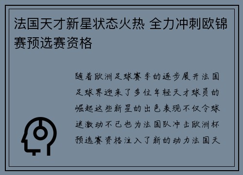法国天才新星状态火热 全力冲刺欧锦赛预选赛资格